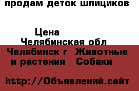 продам деток шпициков › Цена ­ 10 000 - Челябинская обл., Челябинск г. Животные и растения » Собаки   